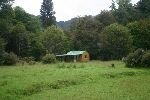 Upper Whirinaki Hut