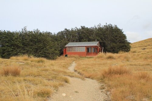 Bushline Hut