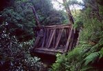 Dancing Camp Dam